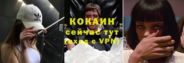 прущий лед Алзамай