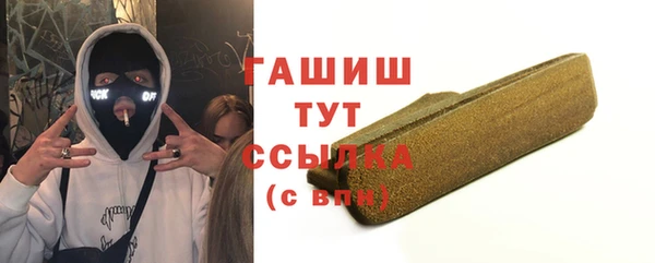 СК Алексин