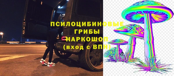 сатива Алексеевка