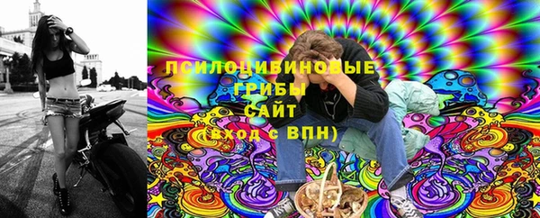 сатива Алексеевка
